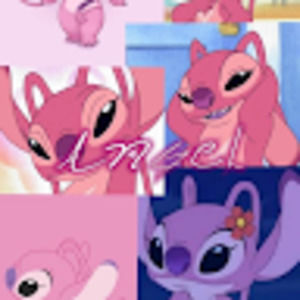 Meet your Posher, Chrissy